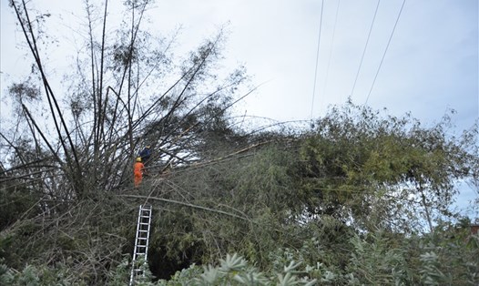 Nhân viên Tổng Công ty Điện lực miền Trung khắc phục sự cố điện sau bão số 9 năm 2020. Ảnh: Hoàng Ngọc Thạch