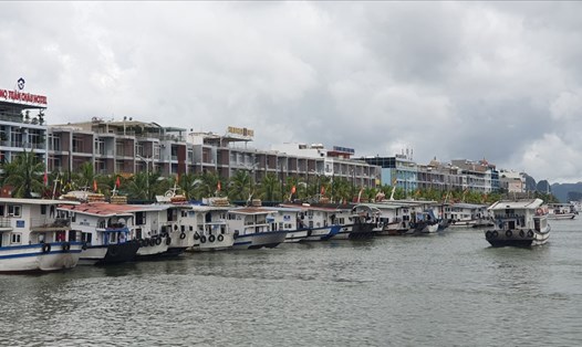 Tàu du lịch tại Cảng tàu quốc tế Tuần Châu. Ảnh: Nguyễn Hùng