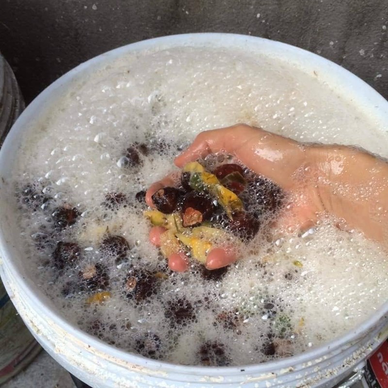 Tham khảo bà mẹ trẻ cách làm nước tẩy rửa tự nhiên siêu dễ từ quả bồ hòn