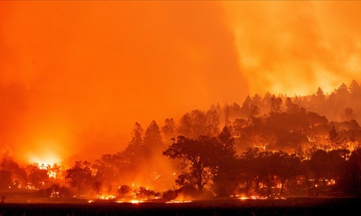 Miền Tây nước Mỹ đối mặt với cảnh báo nguy cơ cháy rừng khắc nghiệt hơn trong mùa cháy năm nay. Ảnh: AFP