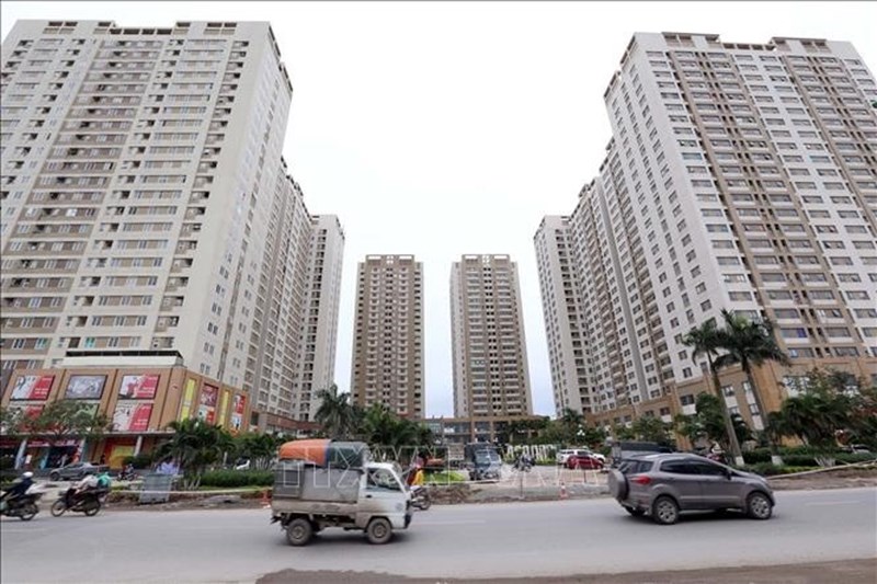 laodong.vn