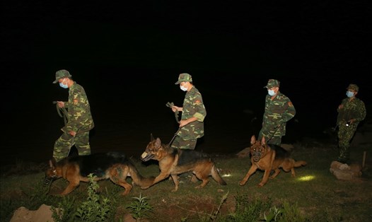 Chó chiến đấu tham gia tuần tra dọc sông Sê Pôn. Ảnh: Hưng Thơ.