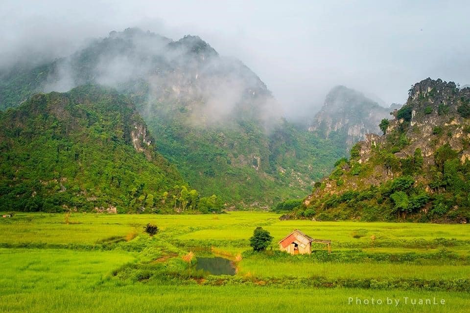 Ảnh minh hoạ: Lê Tuấn