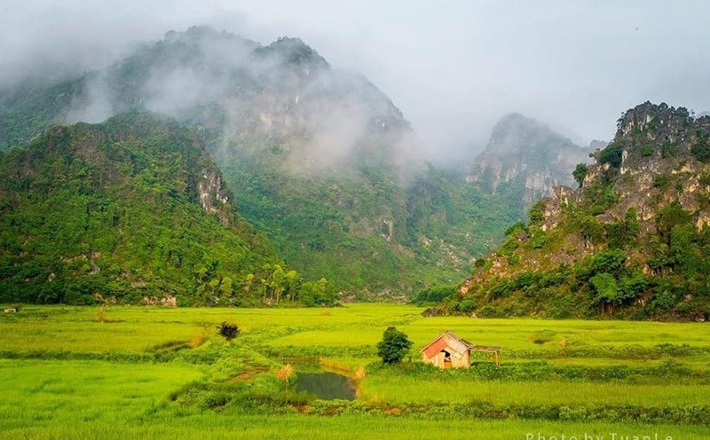 Ảnh minh hoạ: Lê Tuấn