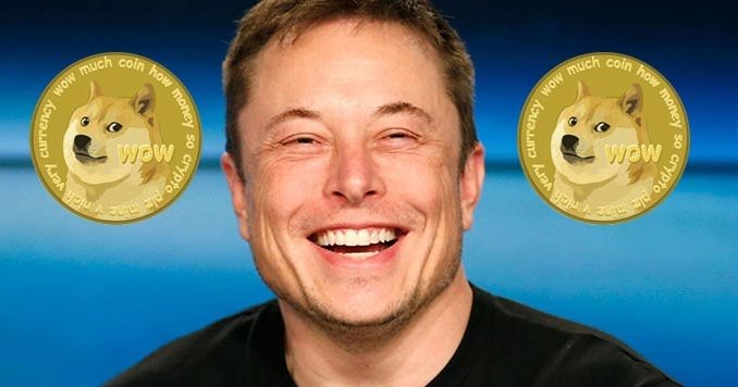 "Ngậm trái đắng" vì đu đỉnh Dogecoin theo tỉ phú thế giới Elon Musk