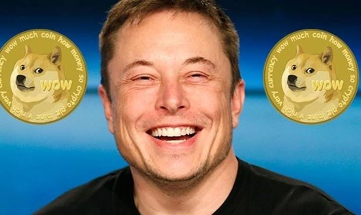 Đồng tiền ảo Dogecoin giảm dữ dội ngay sau khi tỉ phú Elon Musk xuất hiện trên show truyền hình Mỹ. Ảnh TL