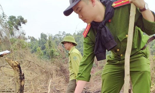 Công an huyện Hương Khê (tỉnh Hà Tĩnh) phối hợp cùng Hạt Kiểm lâm Hương Khê điều tra khu vực rừng mà đối tượng Thông đã hủy hoại. Ảnh: KL
