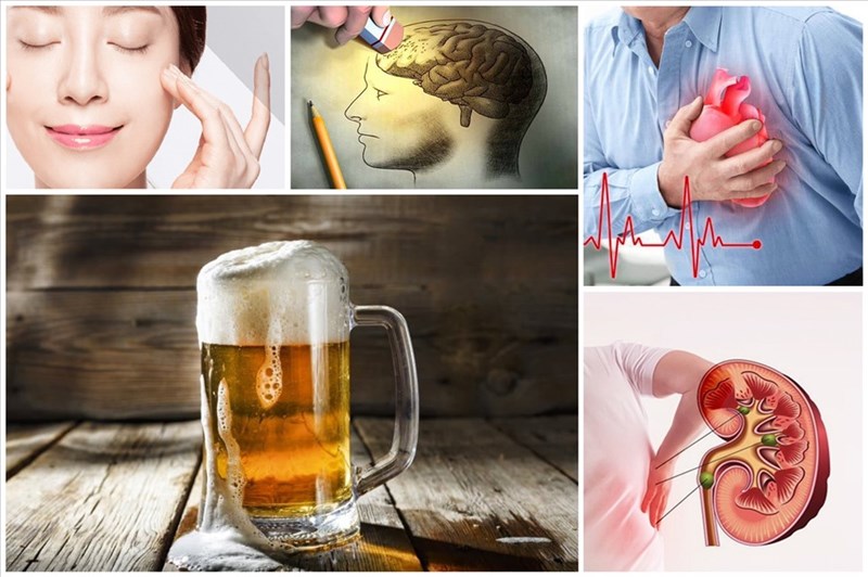 Bia có chứa thành phần gì giúp giảm nguy cơ bệnh tim và tăng cường sức khỏe não bộ?
