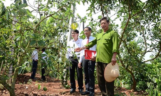 Đồng vốn của Agribank  tới từng thôn, xóm, giúp cho nhiều hộ nông dân trên khắp cả nước có cuộc sống ấm no, góp phần tích cực thay đổi diện mạo nông thôn Việt Nam.
