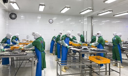Các doanh nghiệp Đà Nẵng vừa chống dịch vừa duy trì sản xuất. Ảnh: Nhuận Nguyễn