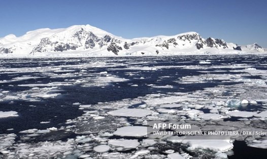 Những mảnh băng trôi tự do ở Nam Cực. Ảnh: AFP