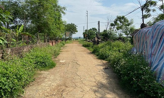 Tại thôn Đồng Táng, xã Đồng Trúc, huyện Thạch Thất từng xảy ra sốt đất, nay không một bóng người. Ảnh Cao Nguyên