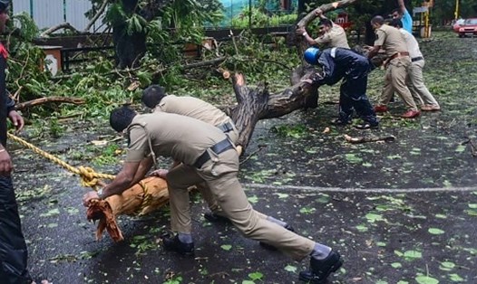 Cảnh sát thành phố Panjim, bang Goa ở Ấn Độ, khắc phục hậu quả do bão Tauktae gây ra. Ảnh: AFP
