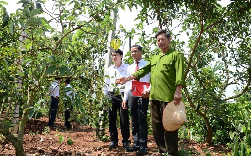 Đồng vốn của Agribank tới từng thôn, xóm, giúp cho nhiều hộ nông dân trên khắp cả nước có cuộc sống ấm no. Ảnh: T.Q