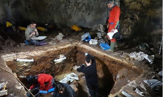 Các nhà khoa học tìm kiếm dấu vết ADN của tổ tiên loài người trong hang Galeria de las Estatuas ở Tây Ban Nha. Ảnh: Viện Nhân chủng học tiến hóa