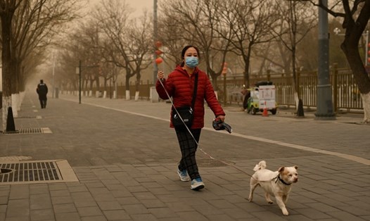 Một người phụ nữ dắt chó đi dạo ở Bắc Kinh, Trung Quốc, hôm 15.3. Ảnh: AFP.