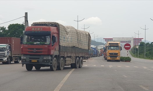Xe từ phía Đông Hưng, Trung Quốc sang đang chờ làm thủ tục nhập cảnh vào Móng Cái tại Cửa khẩu cầu Bắc Luân 2. Ảnh: Nguyễn Hùng