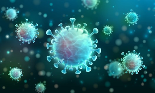 Hình minh họa virus SARS-CoV-2 gây dịch COVID-19. Ảnh: Southern Illinois University.