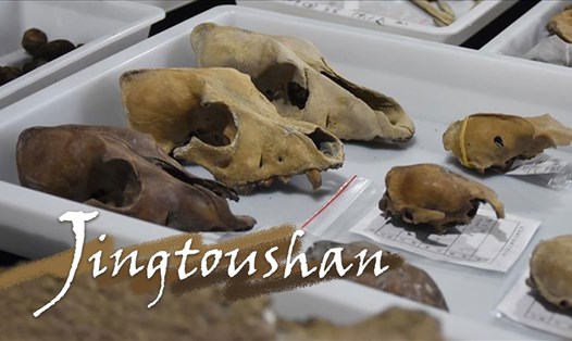 Hiện vật khảo cổ Trung Quốc ở di chỉ Tỉnh Đầu Sơn. Ảnh: CGTN/Xinhua