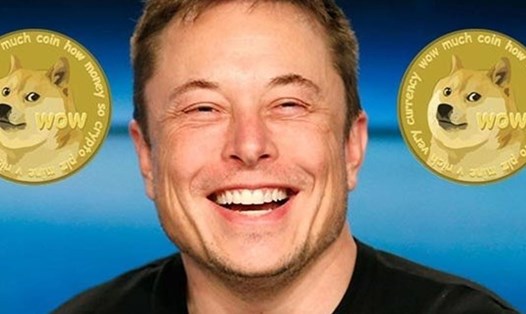 Dogecoin, đồng tiền ảo sau phát ngôn ủng hộ của Elon Musk đã nhanh chóng tăng giá 300% trong một thời gian ngắn, nhưng gần đây đã giảm mạnh theo thị trường chung. Ảnh minh họa: TL.