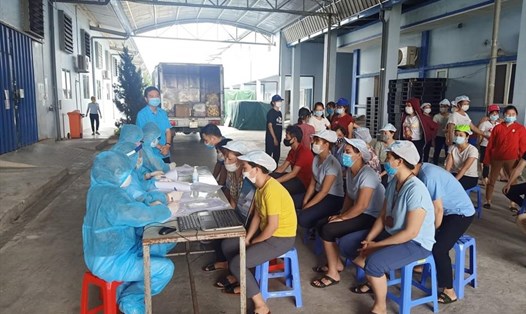 Ngành Y tế Ninh Bình tiến hành lấy mẫu xét nghiệm cho CNLĐ tại các DN trên địa bàn tỉnh. Ảnh: NT