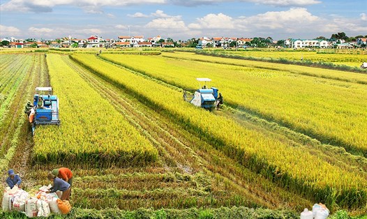 Khoa học công nghệ và Đổi mới sáng tạo đã góp phần quan trọng trong phát triển nông nghiệp, đưa Việt Nam trở thành 1 trong 15 quốc gia đứng đầu về xuất khẩu nông sản. Ảnh: ĐT