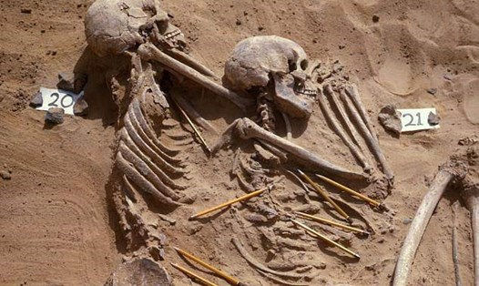 Các chấn thương đã được chữa lành trên các bộ xương ở nghĩa địa Jebel Sahaba, Sudan, hé lộ nhiều thông tin quý giá. Ảnh: Bảo tàng Anh