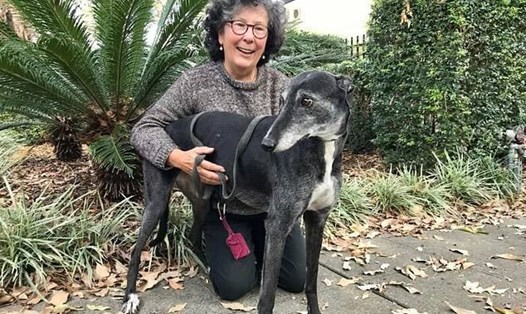 Bà Jennifer Wiessel đã phát hiện cục u dưới hàm của con chó Kelly vào năm 2019. Kelly hiện đã hồi phục sau khi được chẩn đoán ung thư. Ảnh: Đại học Sydney