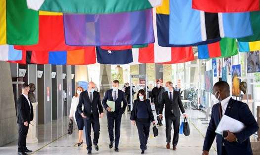 Các đại biểu trước phiên khai mạc Đại hội đồng Y tế Thế giới lần thứ 74 tại trụ sở của WHO ở Geneva, Thụy Sĩ. Ảnh: AFP
