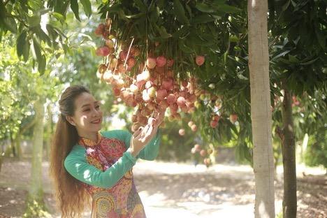Du khách ghé thăm cây vải Tổ của Hưng Yên. Ảnh: Văn Hải