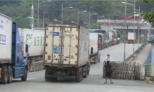 Tỉnh Lào Cai đang hỗ trợ tối đa cho quả vải thiều xuất khẩu sang thị trường Trung Quốc. Ảnh: Vân Tiến