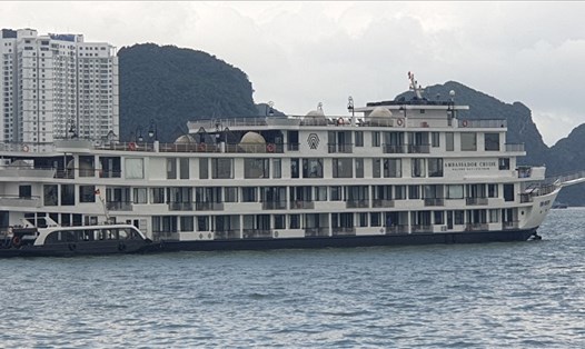 Tàu du lịch lưu trú Ambassador Cruisse QN 8879 được bố trí đậu cách ly ở khu vực Cảng tàu du lịch Hạ Long. Ảnh: Nguyễn Hùng