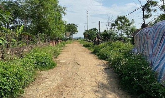 Tại thôn Đồng Táng, xã Đồng Trúc, huyện Thạch Thất từng xảy ra sốt đất, nay chỉ có những nhà đầu tư về hỏi để mua đất "om hàng" chờ làn sóng mới. Ảnh Cao Nguyên