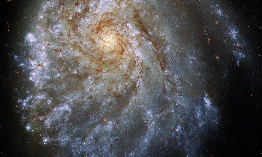 Thiên hà xoắn ốc NGC 2276 bị biến dạng trong bức ảnh của kính thiên văn Hubble. Ảnh: NASA