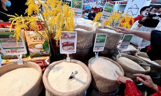 Phần lớn gạo Việt Nam xuất khẩu và bán tại Anh mang thương hiệu của nhà phân phối chứ không mang thương hiệu của vùng trồng lúa hay thương hiệu của nhà xuất khẩu. Ảnh: Vũ Long