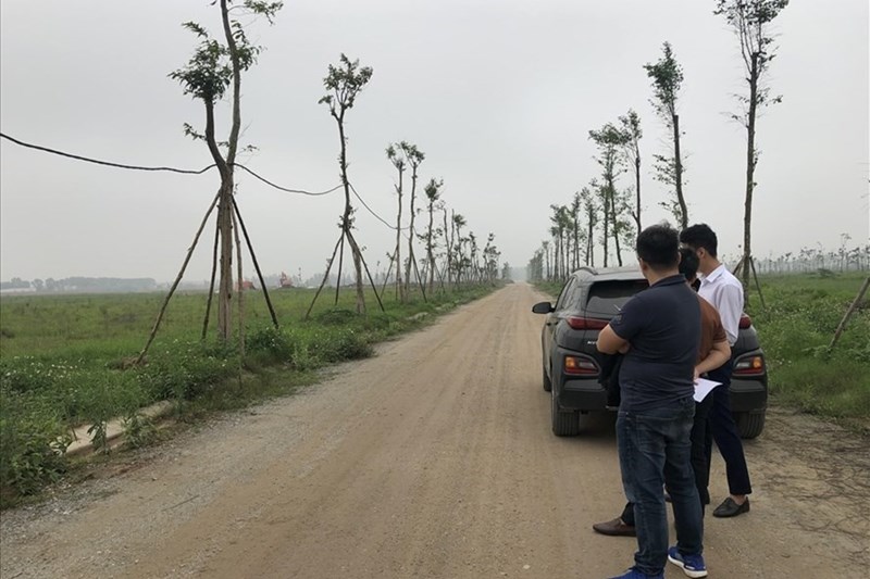 laodong.vn