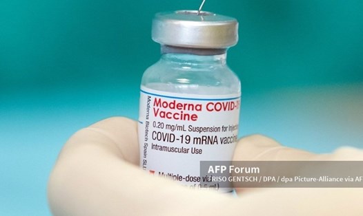 Vaccine COVID-19 của Moderna. Ảnh: AFP