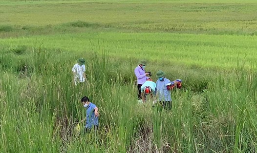 Cơ quan Công an đang tiến hành khám nghiệm hiện trường tại khu vực cánh đồng thuộc huyện Hưng Nguyên, Nghệ An. Ảnh: PV