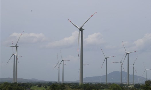 Một dự án điện gió ở huyện Thuận Bắc, tỉnh Ninh Thuận. Ảnh: Nhiệt Băng