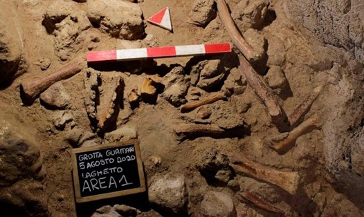 Cận cảnh hài cốt hóa thạch của người Neanderthal trong một hang động ở Italia. Ảnh: Bộ Văn hóa Italia