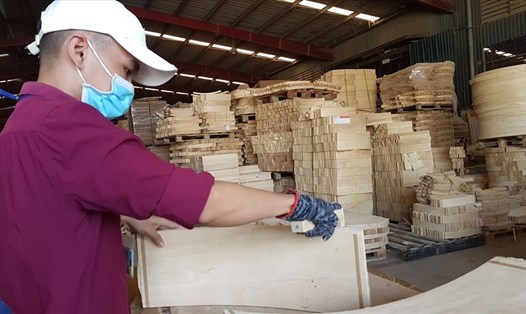 Xuất khẩu gỗ dự báo mang về giá trị kim ngạch 14 tỉ USD trong năm 2021. Ảnh: Vũ Long