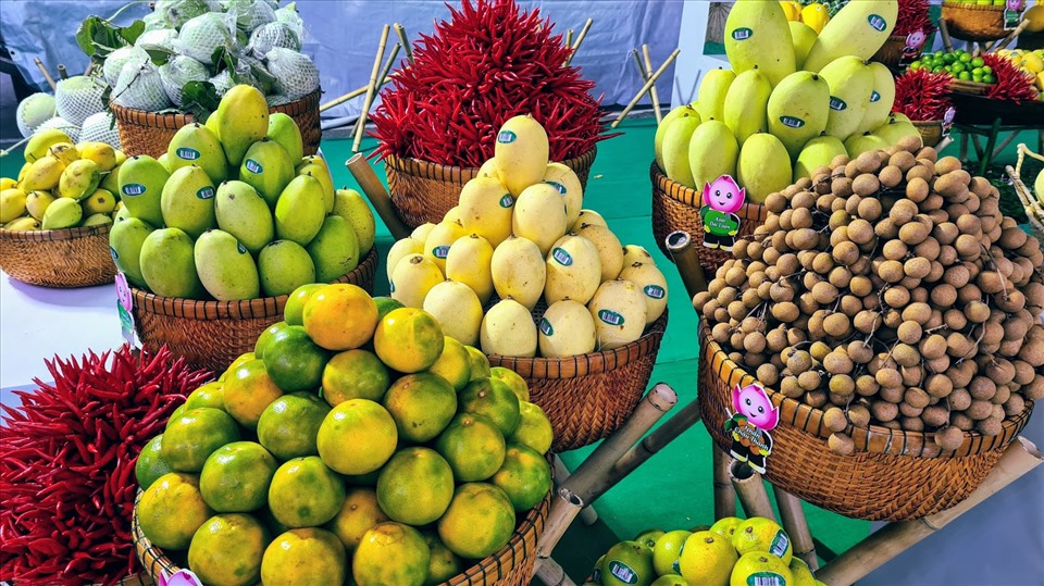 Xuất Khẩu Trái Cây Việt Nam Sang Trung Quốc: Thủ Tục Và Giải Pháp Logistics