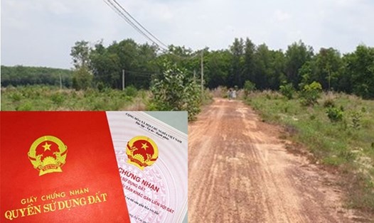Mức thu tiền sử dụng đất khi cấp giấy chứng nhận cho đất vi phạm pháp luật. Đồ hoạ: Kim Nhung