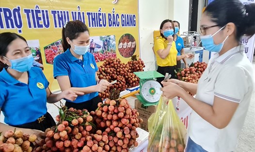 LĐLĐ huyện Tương Dương (Nghệ An) phối hợp tiêu thụ vải thiều giúp nông dân Bắc Giang. Ảnh: HL