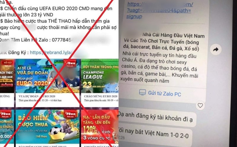 tỷ lệ nhà cái - Bí mật Thắng Lớn trong Thế Giới Cá Cược