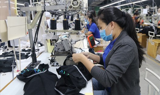 Công nhân một công ty may mặc ở Khánh Hòa. Ảnh: Phương Linh
