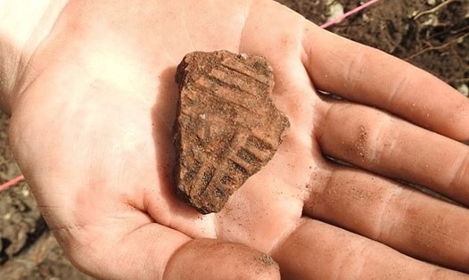 Các nhà nghiên cứu ở Florida tin rằng họ đã phát hiện ra những tàn tích còn sót lại của Sarabay - một khu định cư của người Mỹ bản địa. Ảnh: UNF