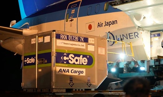 Chuyến bay của hãng hàng không Air Japan (ANA) chở 966.320 liều vaccine đã hạ cánh xuống sân bay Nội Bài. Ảnh N.Công