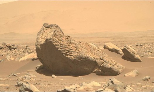 Tảng đá sao Hỏa hình hải mã. Ảnh: NASA