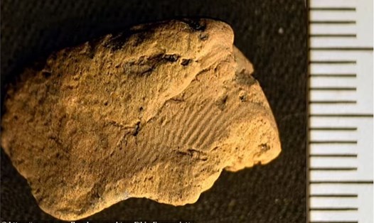Các dấu vân tay trên mảnh gốm cổ thời đồ đá cung cấp nhiều thông tin bất ngờ đằng sau nó. Ảnh: Di tích khảo cổ Ness of Brodgar